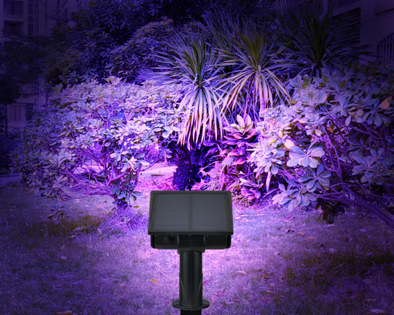 Solar Color-Changing Landscape Lights for Outdoors