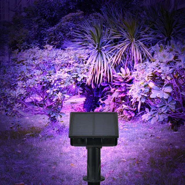 Solar Color-Changing Landscape Lights for Outdoors