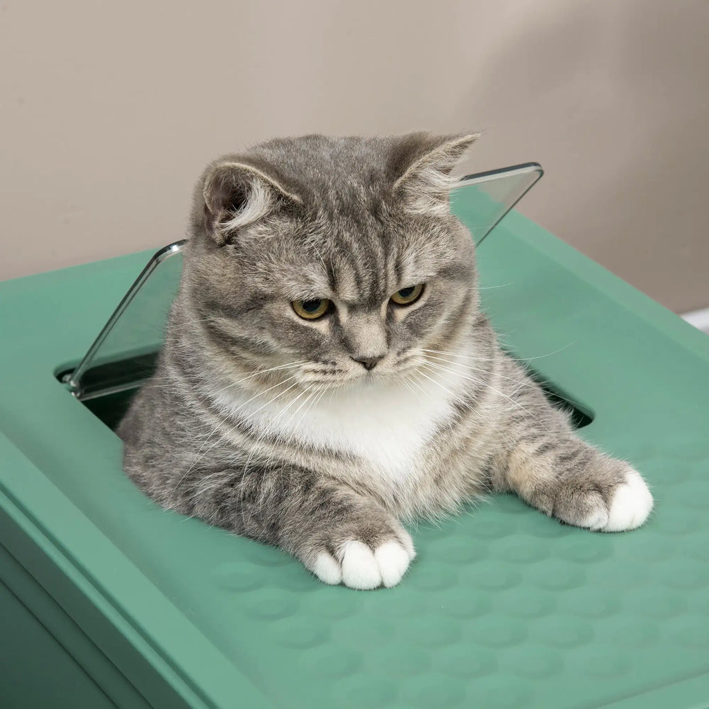 Deluxe Hooded Cat Litter Box with Scoop