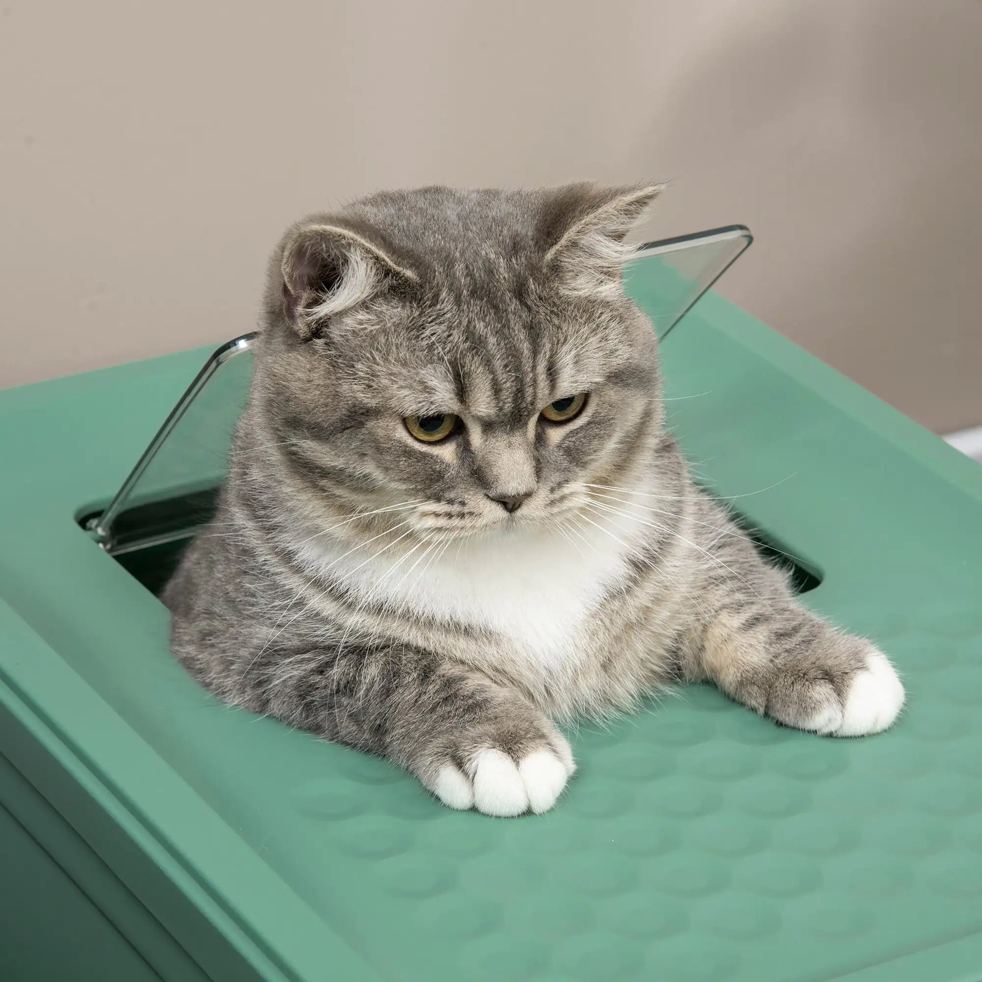 Deluxe Hooded Cat Litter Box with Scoop