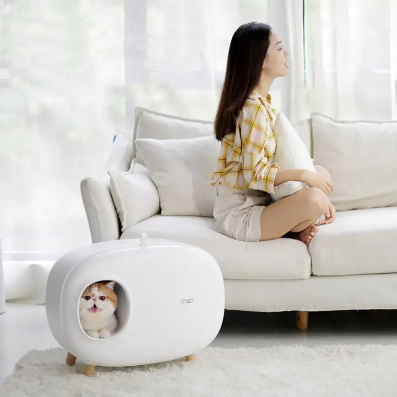 Modern Stylish Cat Litter Box